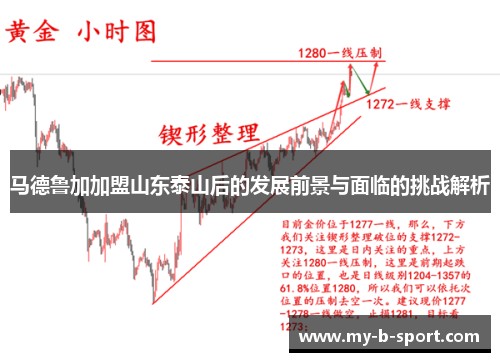 马德鲁加加盟山东泰山后的发展前景与面临的挑战解析 马德鲁加加盟山东泰山后的发展前景与面临的挑战解析